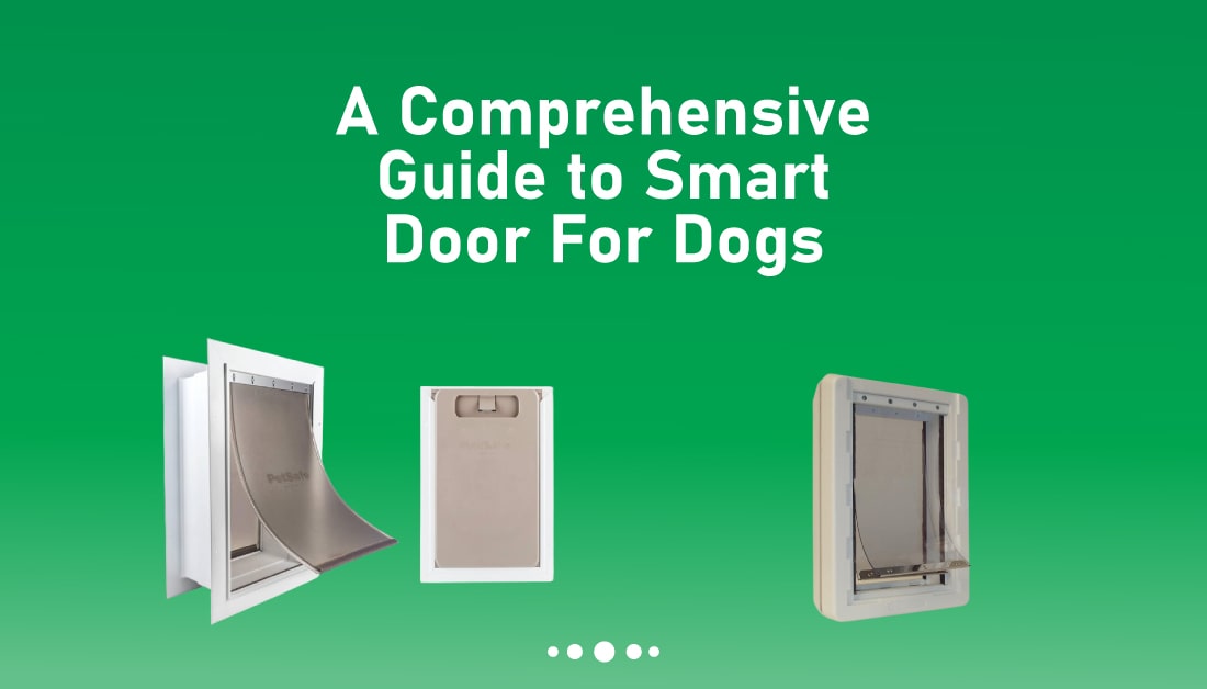 Smart Door For Dogs