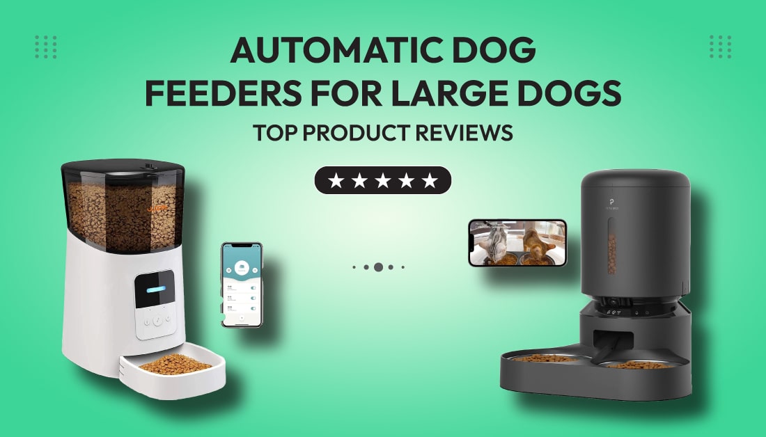 automatic dog feeders for large dogs