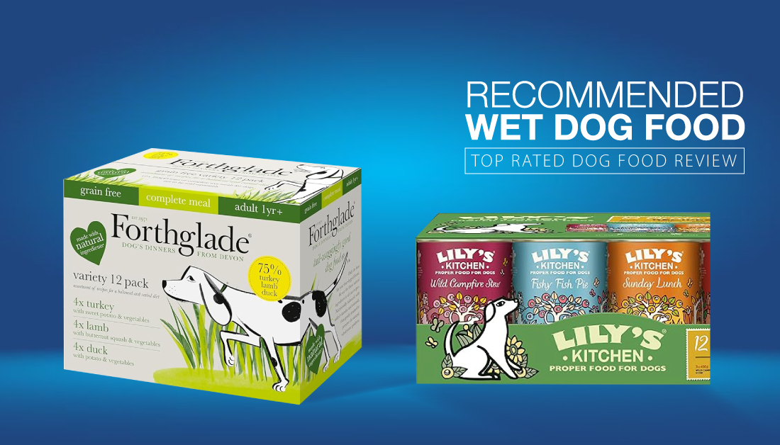 recommended wet dog food